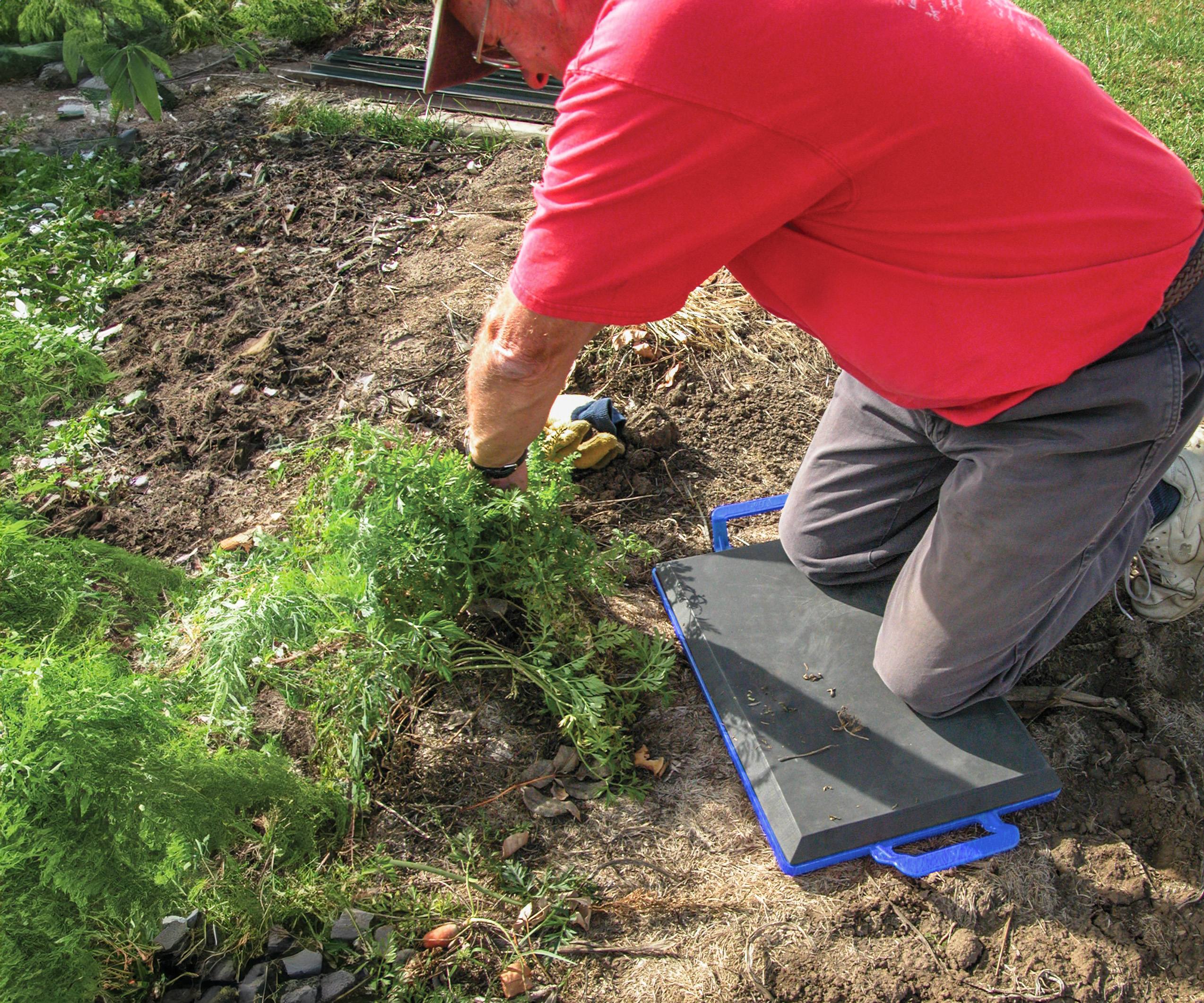 kneeler board